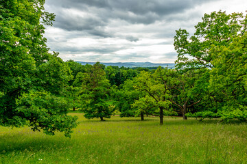 Sommerspaziergang im schönen Park in Altenstein bei Bad Liebenstein - Thüringen - Deutschland