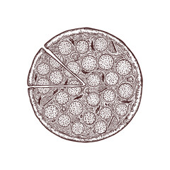 Pizza hand drawn template. Italian food menu design template. Hand drawn pizzeria menu template. Vector illustration. Label for the menu.