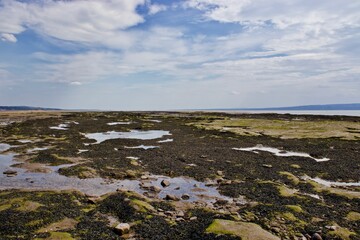 Fototapeta na wymiar Seaweed covered beach shore and rock pools.