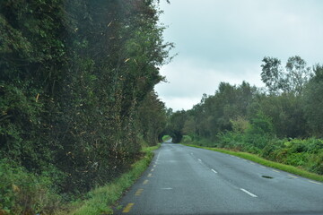 On the road in Ireland
