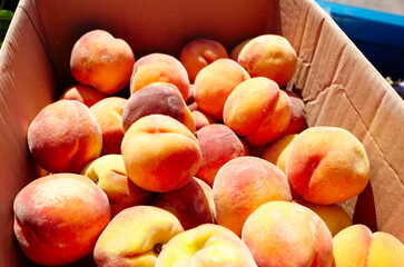 Fresh ripe peaches as background from orchard, top view. Peaches in a cardboard box, closeup. Healthy food in fruit market