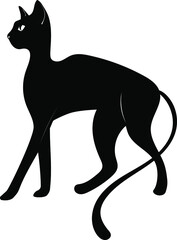 Black cat. Vector. Mystical cat. Flat style, Magic. Moon, sun, stars, flowers.