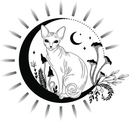 Black cat. Vector. Mystical cat. Flat style, Magic. Moon, sun, stars, flowers.