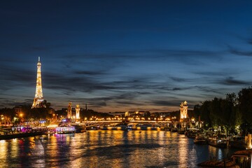 The Alexander the third bridge on the Seine in Paris France