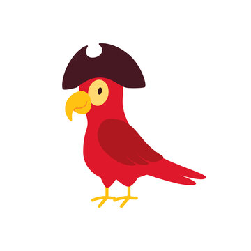 Pirate parrot on a white background, vector flat illustration.