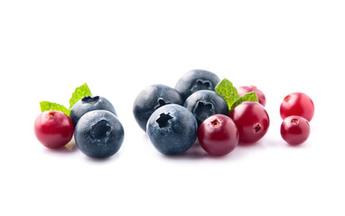 Sweet blueberries and cranberries