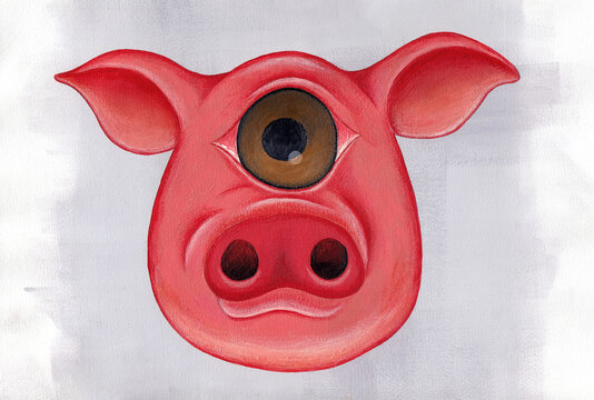 cyclop pig