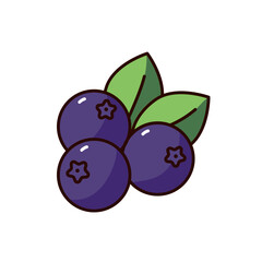 blueberry icon illustration