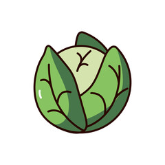 cabbage icon illustration