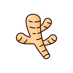 ginger turmeric icon illustration