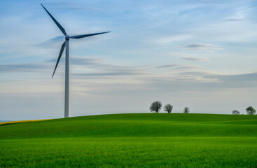 wind turbine in the field