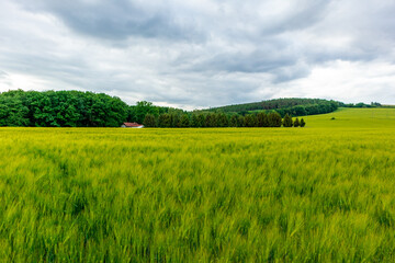 Sommerspaziergang durch die Feldlandschaft bei Bad Liebenstein - Thüringen - Deutschland 