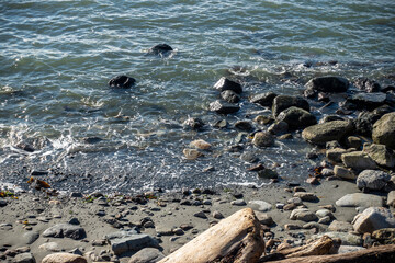 Rocky coastline of False Bay in San Juan Island, WA, refilling after low tide on a sunny day