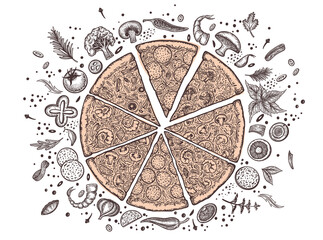 Pizza and ingredients. Hand drawn pizzeria menu template. Set of Italian cuisine products. Pieces of pizza. Vector illustration