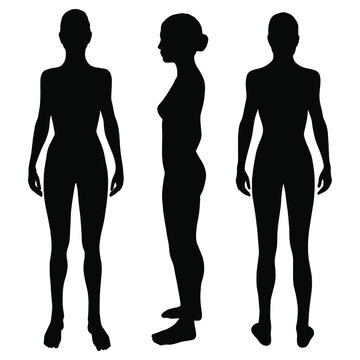 Woman body vector black silhouettes in front, side and back view.