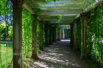 Green alley, arch of columns and plants
