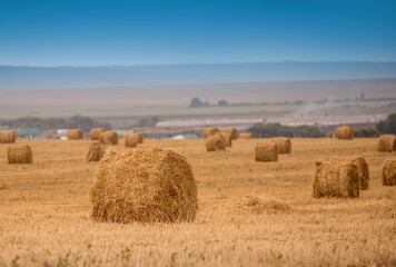 Beautiful field with hay in round stacks against the blue sky. A field with haystacks, the concept of autumn and harvesting. Copy space for text. Summer season of August. track from the car harvest