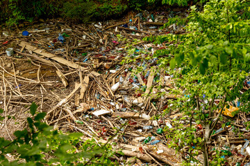 Leftover garbage in the middle of the forest - obrazy, fototapety, plakaty