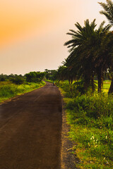 road in the countryside