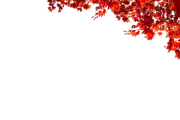 Tree branch flower Photo Overlays, Summer spring painted frame s, Photo art, png