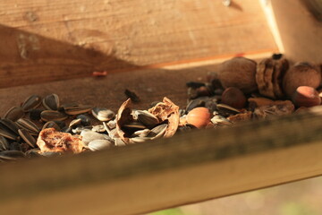 Nuts, seeds and dried fruits in the feeder