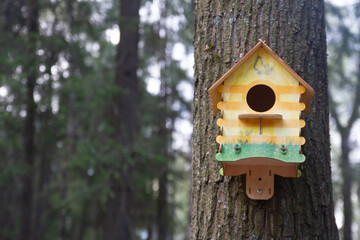 birdhouse on tree, nesting box, feeder, bird feeders
