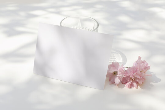 Springtime wedding stationery. Blooming pink Japanese cherry tree blossoms and glass of water in sunlight. Blank greeting card, invitation. Business card, RSVP mockup. White table, shadows overlay.