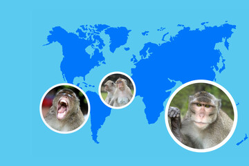collage with monkeys, studying zoonotic contagious viral disease monkeypox, concept research pox virus on world map, medical experiments on primates, animal diseases, veterinary medicine