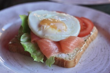 Toast with salmon, tomatoes and cheese