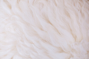 White animal fur. Weasel or cat hair. Fur clothes, white fur coat close up. Eco-wool, eco-leather...