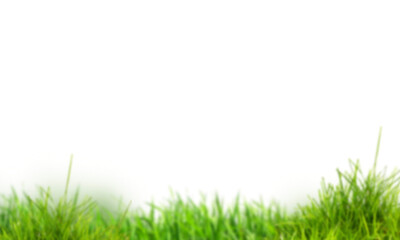 Fototapeta premium Flower grass petals Photo Overlays, Photoshop Overlays, Summer overlays, Golden Fields, png