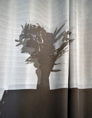Shadow photography