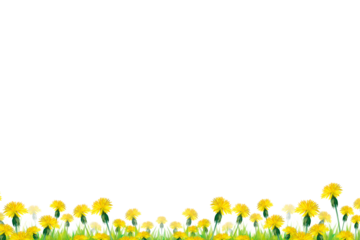Flower grass petals Photo Overlays, Photoshop Overlays, Summer frame s, Golden Fields, png