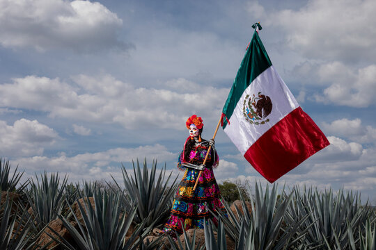 Catrina de Jalisco, Tradiciones Mexicanas. Stock Photo | Adobe Stock