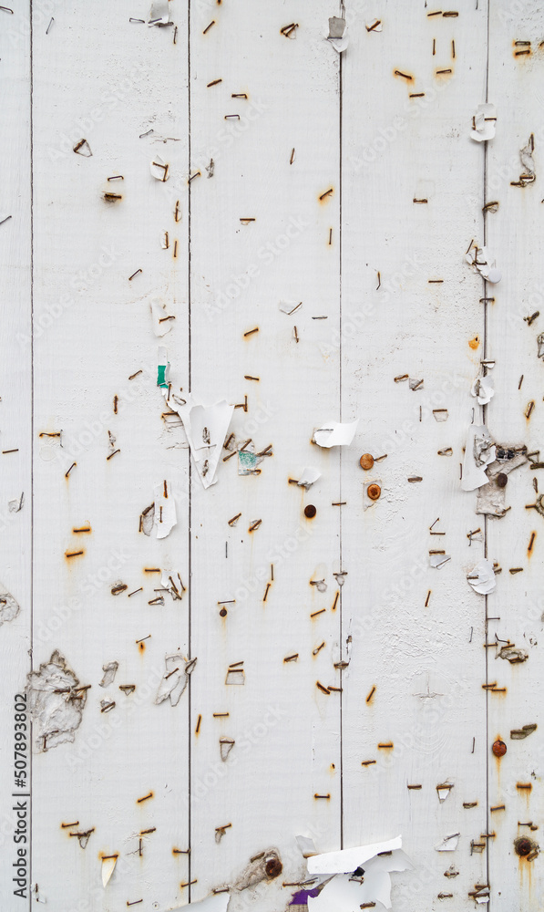 Poster many rusty stapler pins and pieces of paper on a messy white wooden bulletin, message or notice boar