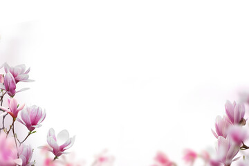 Flower grass petals Photo Overlays, Photoshop Overlays, Summer frame s, Golden Fields, png