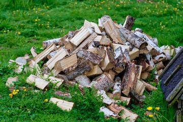 Dry chopped firewood on the green grass for the fireplace, stove, fireplace. Harvesting firewood for the winter