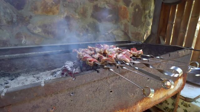 Pickled kebab is cooked on grill on coals. Barbecue is popular in Eastern Europe. Mouth-watering pieces of marinated meat strung on skewers cooked with charcoal grills in fragrant hot smoke. Close-up