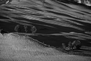 Italia in bianco e nero. Crete Senesi, paesaggio