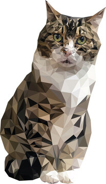 Getigerte Katze Lowpoly Illustration Artwork - transparent