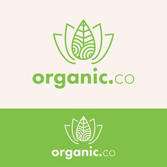 minimalist outline organic leaf logo concept