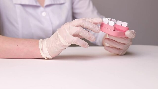 Tooth loss concept. Doctor with teethless jaw model