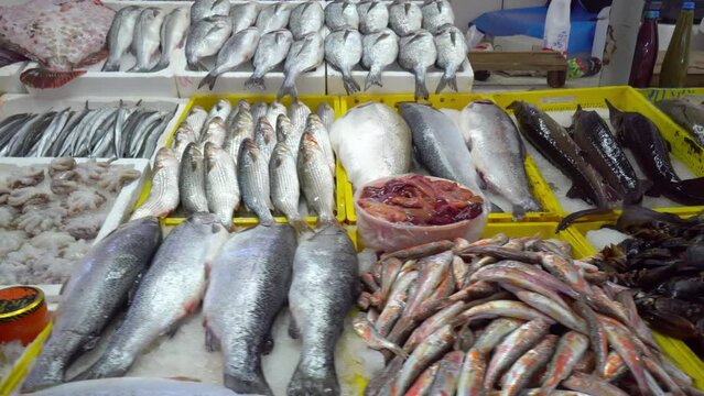 Fresh seafood market in Batumi Georgia. Live fish in ice. Flounder, red mullet, salmon, catfish, eel, frogs, rays, sturgeon, mussels, oysters. orefood in ice at counter market. Fish is sold on street.