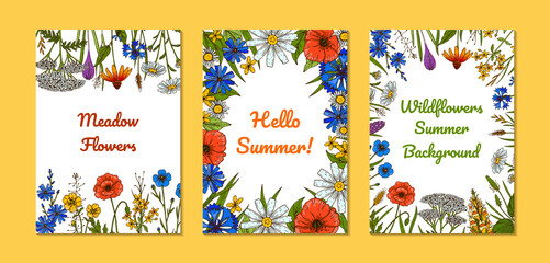 Obraz na płótnie Canvas Set of wildflowers botany designs. Colorful hand drawn vector illustration. Summer background