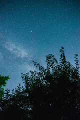 Night starry sky summer outdoors in Ukraine.