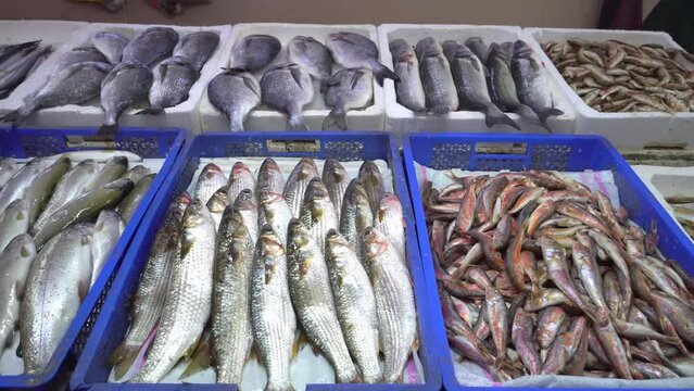 Fresh seafood market in Batumi Georgia. Live fish in ice. Flounder, red mullet, salmon, catfish, eel, frogs, rays, sturgeon, mussels, oysters. orefood in ice at counter market. Fish is sold on street.