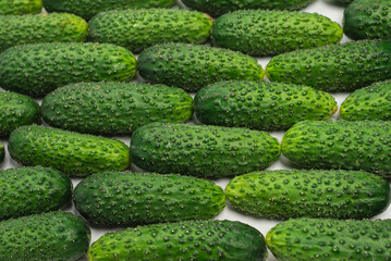 Fresh green cucombers as a background