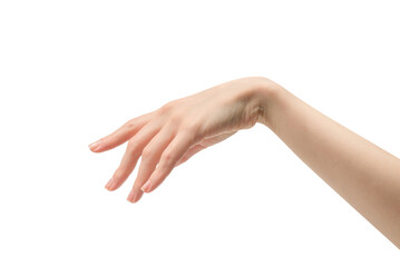 Woman hand isolated on a white background.