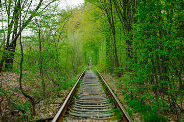 a railway in the spring forest. Tunnel of Love, green trees and the railroad