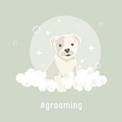 Pet grooming vector illustration with cute dog